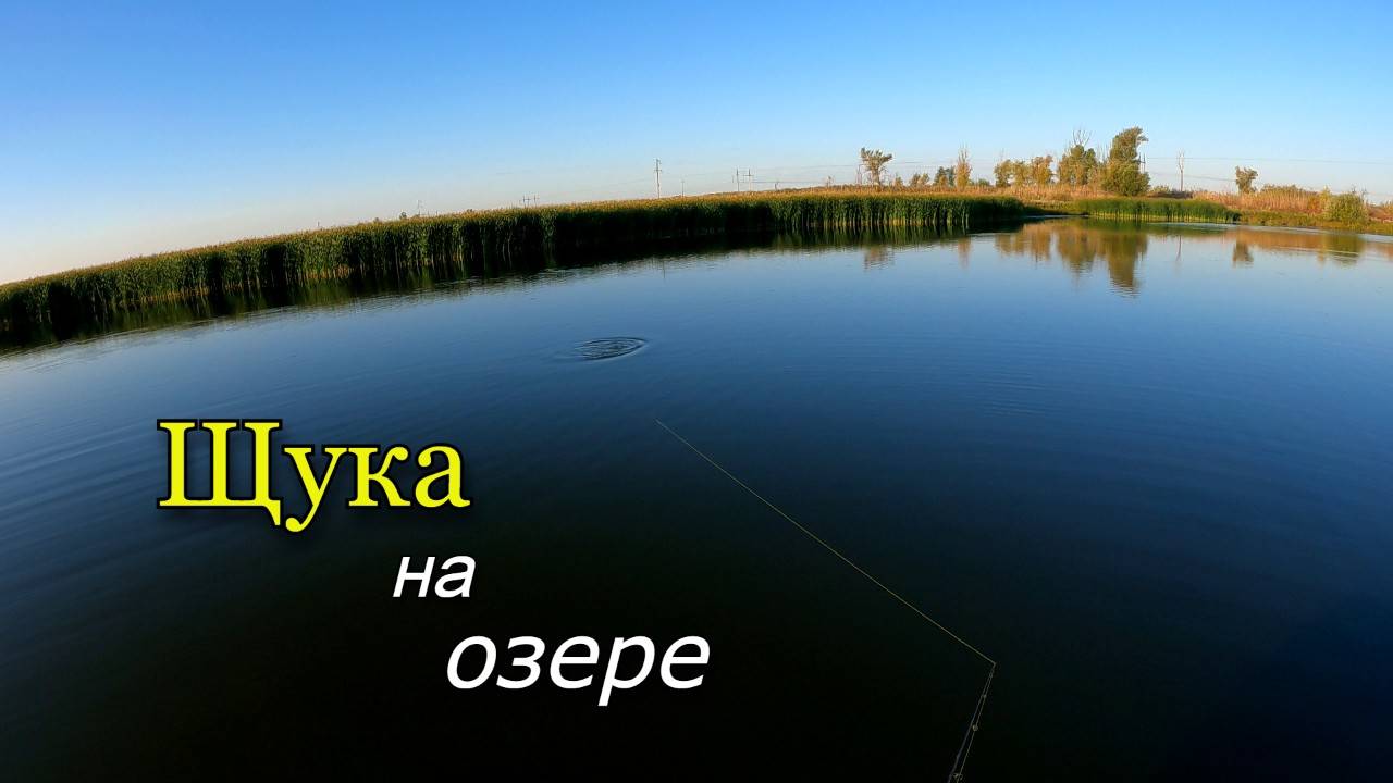 Ловля щуки с лодки на мелком озере смотреть онлайн