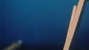 Конфликт (Мультфильмы для взрослых).mp4