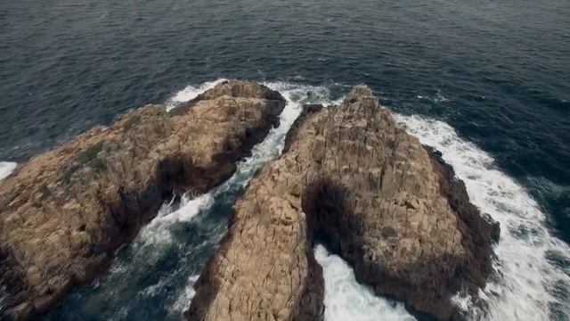 Это фото потрясло весь мир. Вы не поверите, вот что пой?