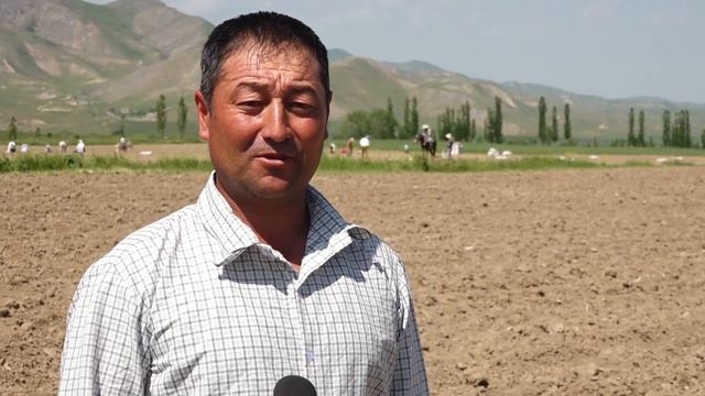 Картошка н.Шахристон