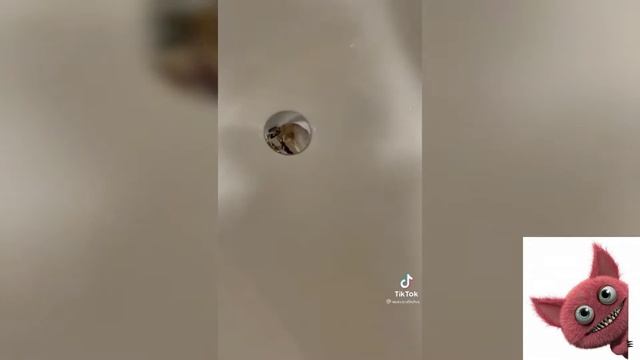 ПРИКОЛЫ ТИК ТОК. РЖАЧНОЕ ВИДЕО. СМЕХ ДО СЛЁЗ. #6/2022 смотреть онлайн