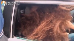 Механик ТВ, приколы #2 (Best Epic Funny Videos)