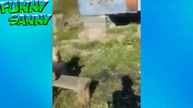 Лучшие Приколы 2020 #23 Февраль Самые ржачные моменты АХАХАХАХ! смотреть онлайн