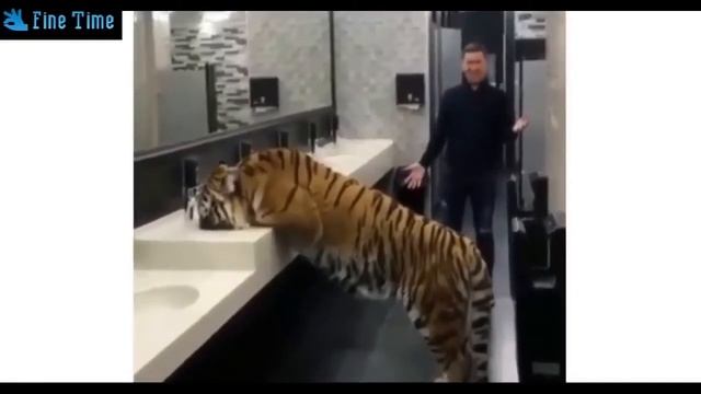 Смешно до боли! Подборка Самых Улётных приколов! Улётные приколы! Реальная ржака! смотреть онлайн
