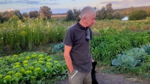 Лучший сорт картофеля для еды! Картофель Гранада.