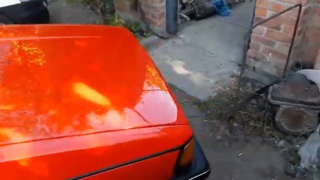 Собрались на выставку смотреть онлайн