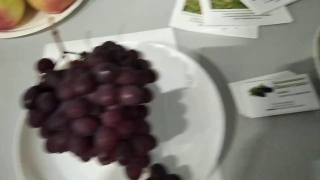 Виноград Красноярска. Сергей Будрис. 8-902-980-79-86. смотреть онлайн