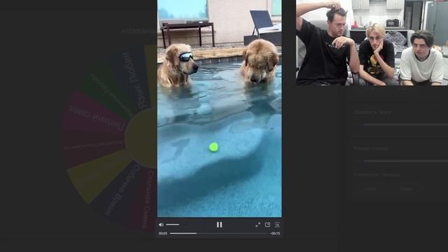 МАФАНЯ, ЗЕЛЯ И БРАМО СМОТРЯТ ВЕБМЫ / ЗАСМЕЯЛСЯ - ВЫПОЛНЯЙ ЗАДАНИЕ смотреть онлайн