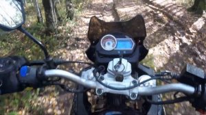 Racer Ranger RC300-GY8 - на что он способен?