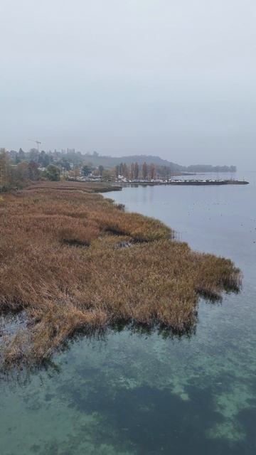 Фуд-блогер и фотограф Марина: дегустации, путешествия,