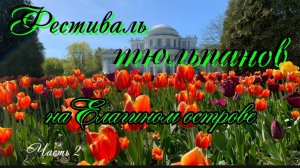 Фестиваль тюльпанов на Елагином острове Санкт-Петербурга. Май 2025 года