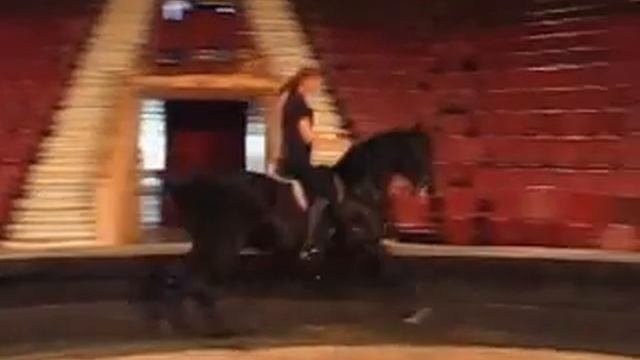 Испанская рысь. Ольга Хотим и Дукат. Цирк смотреть онлайн