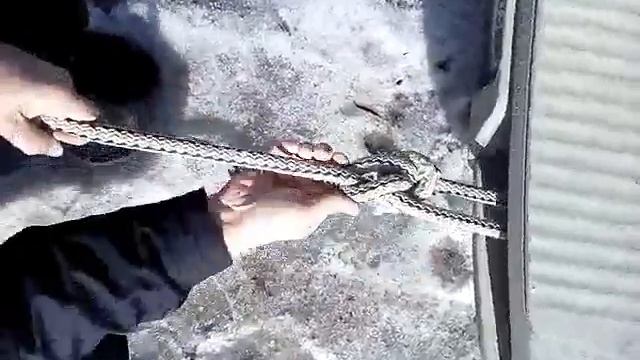 Как привязывать помидоры и не только