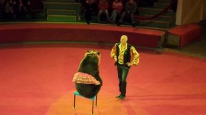 Медведи. Цирк. Супер танец медведя в цирке. Bears. Circus. The super dance of the bear in circus.