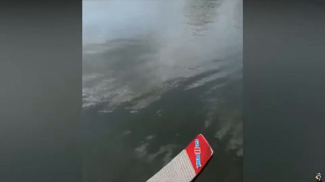 ЛУЧШИЙ ЮМОР, СМЕШНЫЕ ВИДЕО, УЛЕТНЫЕ ПРИКОЛЫ №54