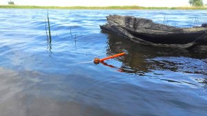 САЗАНЫ МАШИНЫ!! КЛЮЕТ СНОВА И СНОВА - ЖОР  НА УДОЧКУ Рыбалка на поплавок