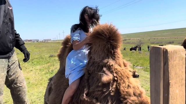 Махан Фест 2025. Фестиваль тюльпанов. Калмыкия смотреть онлайн