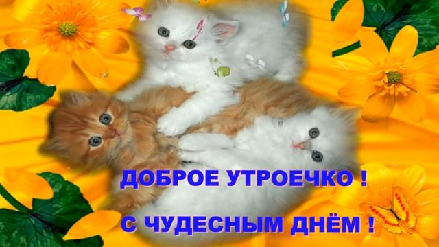 ДОБРОГО УТРЕЧКА , ЧУДЕСНОГО ДНЯ Музыкальная открытка смотреть онлайн
