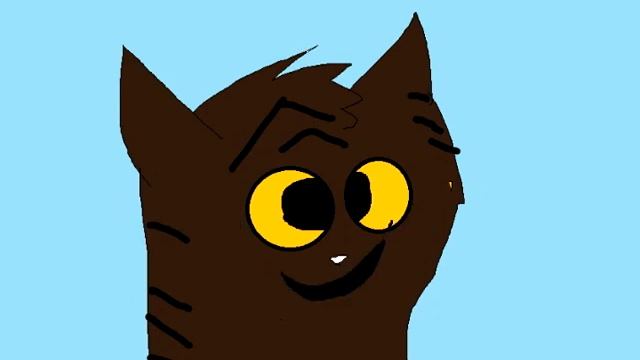 Коты-воители С днём рождения!