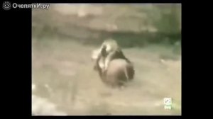 Мемы-вставки Мемы для монтажа видео
