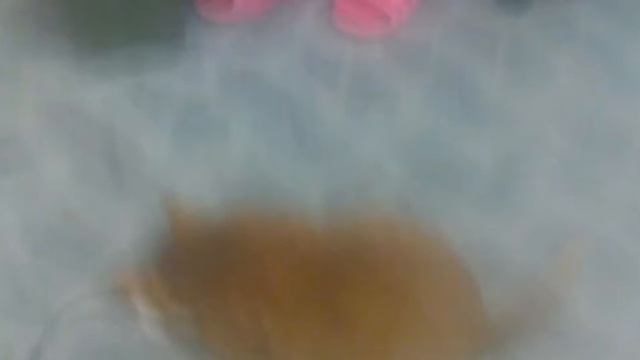 кот которое не выспался смотреть онлайн