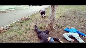 Фильм Пятница 13: часть 6