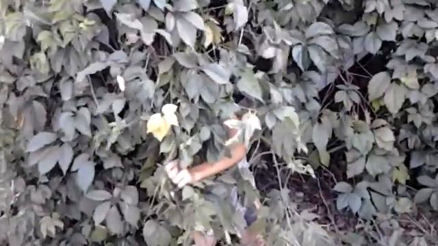 Прикол про Игоря смотреть онлайн