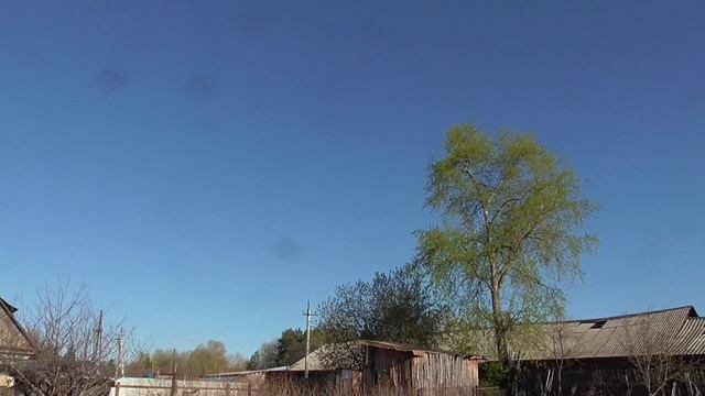 На Николу (21 мая) закукует кукушка смотреть онлайн