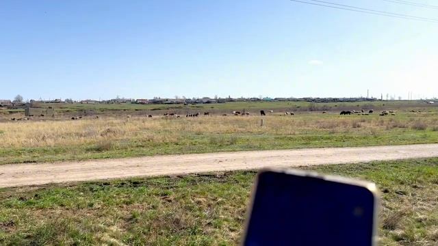 GPS  TRACKER (TK935)для КРС, МРС