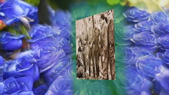 С Днём Рождения Анатолий!!! смотреть онлайн