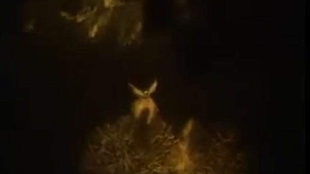 Ежик в тумане vs Moby.avi смотреть онлайн