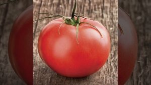 сектор Газа - помидоры помидоры.