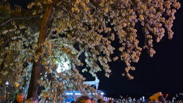 :Мы желаем счастья Вам " - Хор Турецкого в Волгограде смотреть онлайн