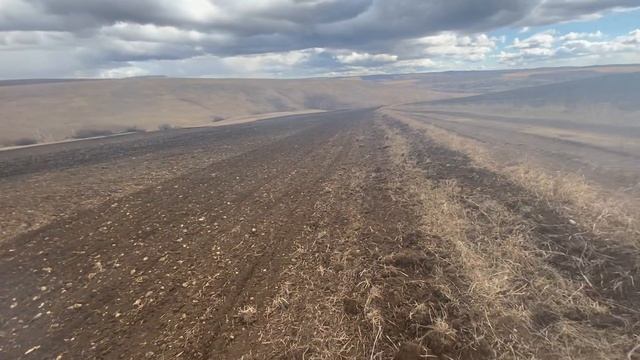 Первый день вышли в поля 12апреля