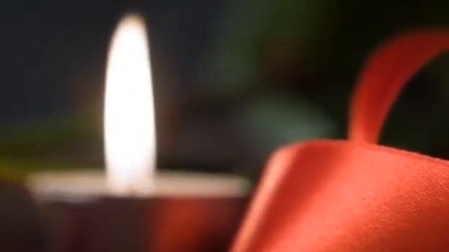 Видео роза, гүлдер.Футаж гүл. Артқы фон