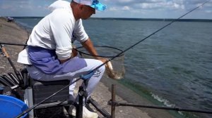 ВЫБОР КВИВЕРТИПА / ФИДЕРНЫЕ ВЕРШИНКИ / ZEMEX Advice