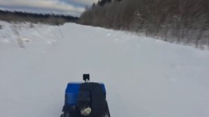 В ЛЕС ЗА ДРОВАМИ НА МОТОСОБАКЕ МУЖИК! СНОВА ПОЛОМКА?