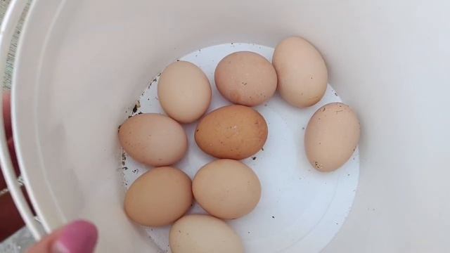 Жареные свинные рёбрышки с луком. Вкусный ужин. Меня к? смотреть онлайн