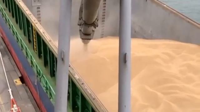 Экспорт зерна из России