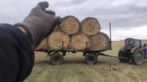 Кун на Т-40 , возим сено .