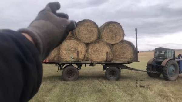 Кун на Т-40 , возим сено .