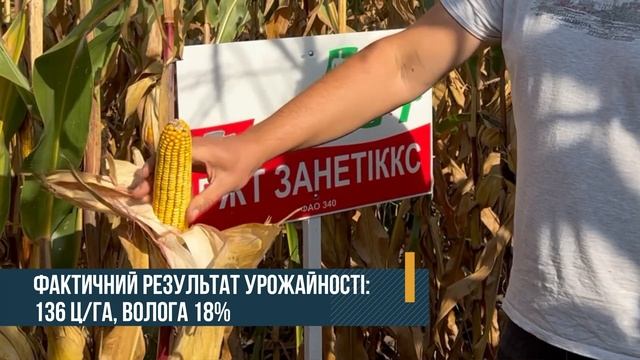 Врожайність кукурудзи 136 ц/га з вологістю 18% | Пластичн? смотреть онлайн