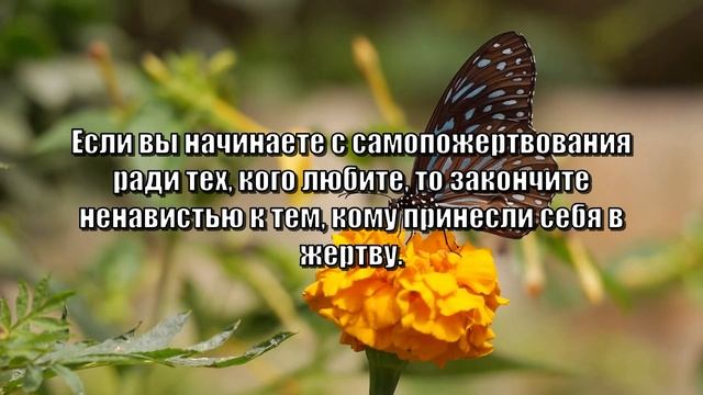 ЦИТАТЫ ВЕЛИКИХ ЛЮДЕЙ #2 смотреть онлайн