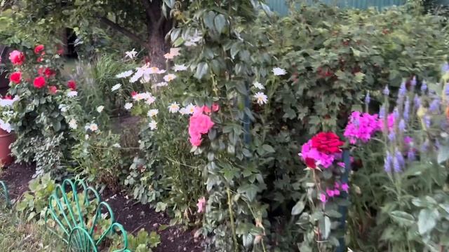 Как хороши, как свежи были розы…