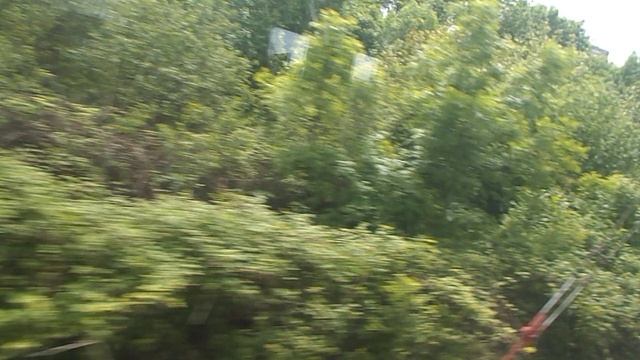 DSCN8037Железноводск май 2025 год