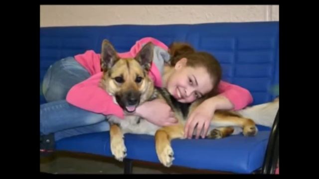 Видео смешные и грустно(4) смотреть онлайн