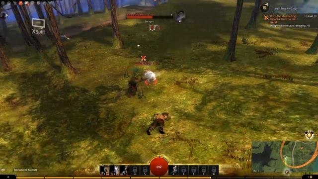 GW2 А стоит ли....