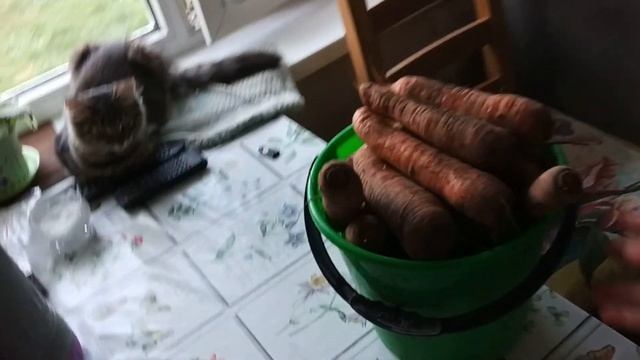 ПОКРАСИЛАСЬ/МАМА И МОРКОВЬ/И ОПЯТЬ ПРО АДАМЯНА смотреть онлайн