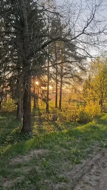 Всем доброго утра и хорошего дня смотреть онлайн