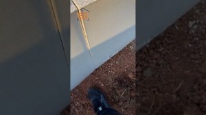 Как пользоваться склерометром? | Проверка марочной пр?